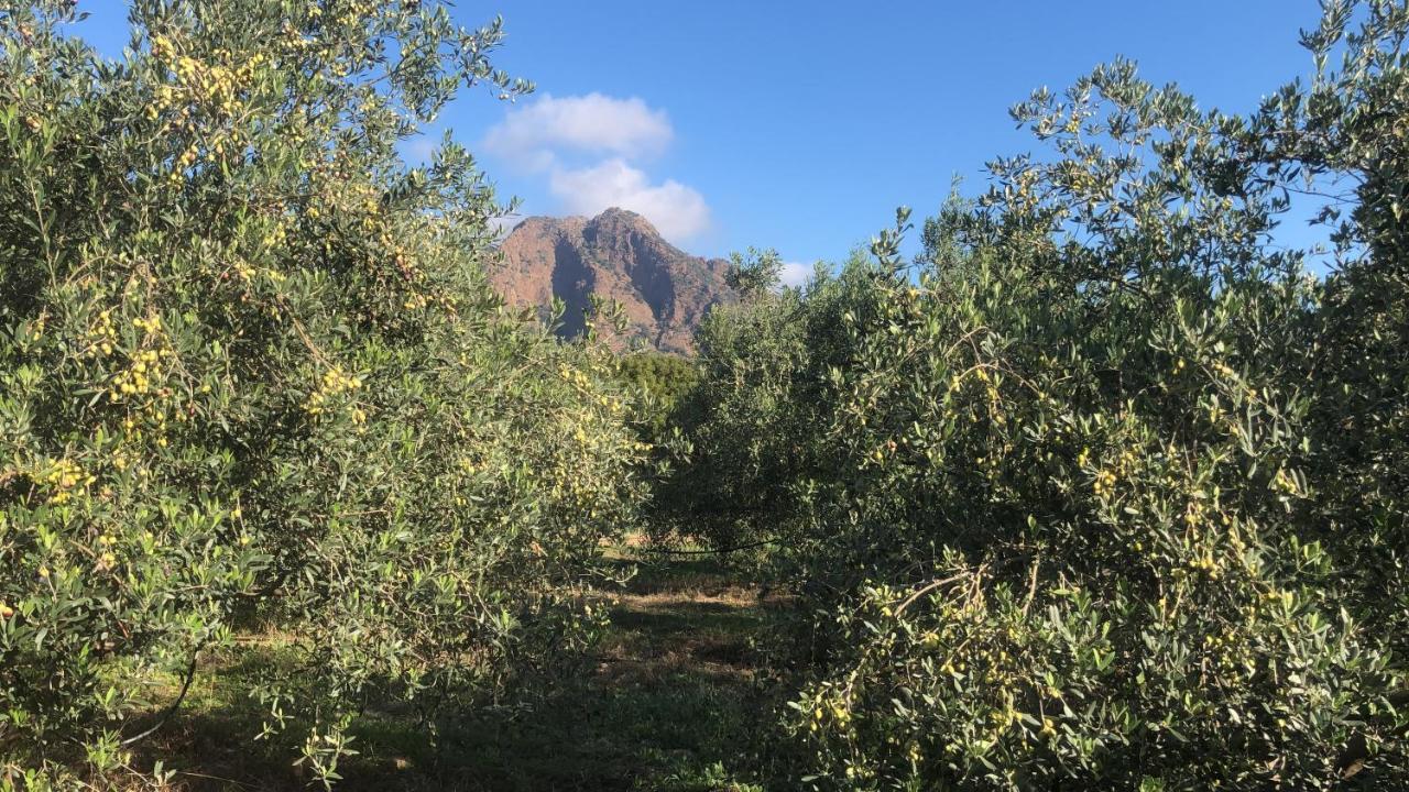 Su Cappeddu Agriturismo San Giorgio  Eksteriør billede